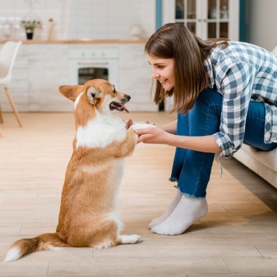 side-view-woman-holding-her-dog-s-paws_23-2148566997